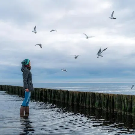 Gezeiten App 5 Penthouse *