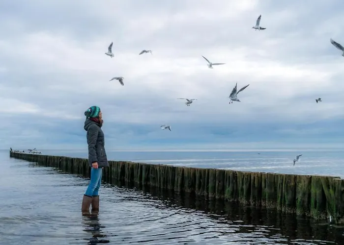 Gezeiten App 5 Penthouse *